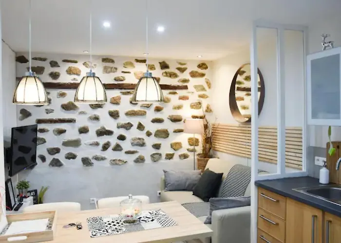 Urbain Ancienne Ecurie Au Centre Et Parking * 南特