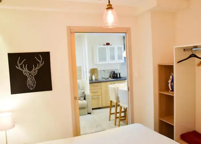 公寓 Urbain Ancienne Ecurie Au Centre Et Parking